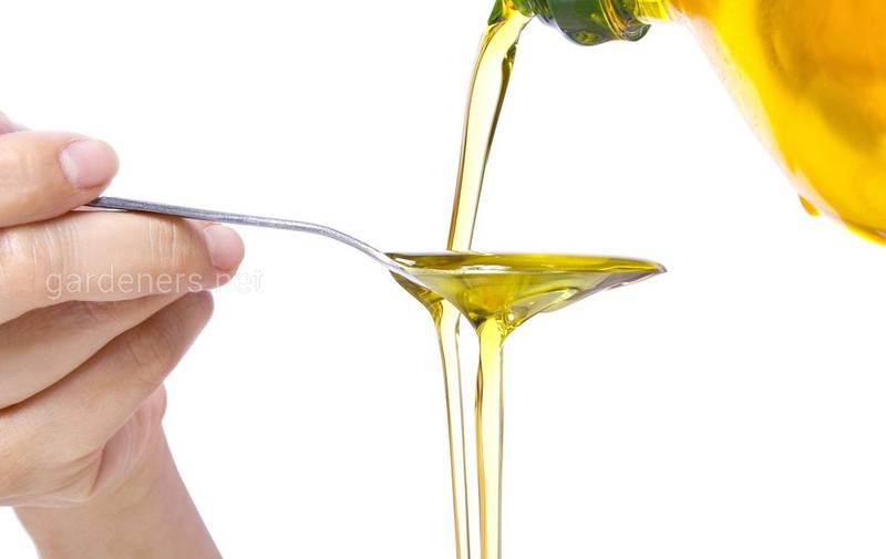 Как использовать масло розмарина?