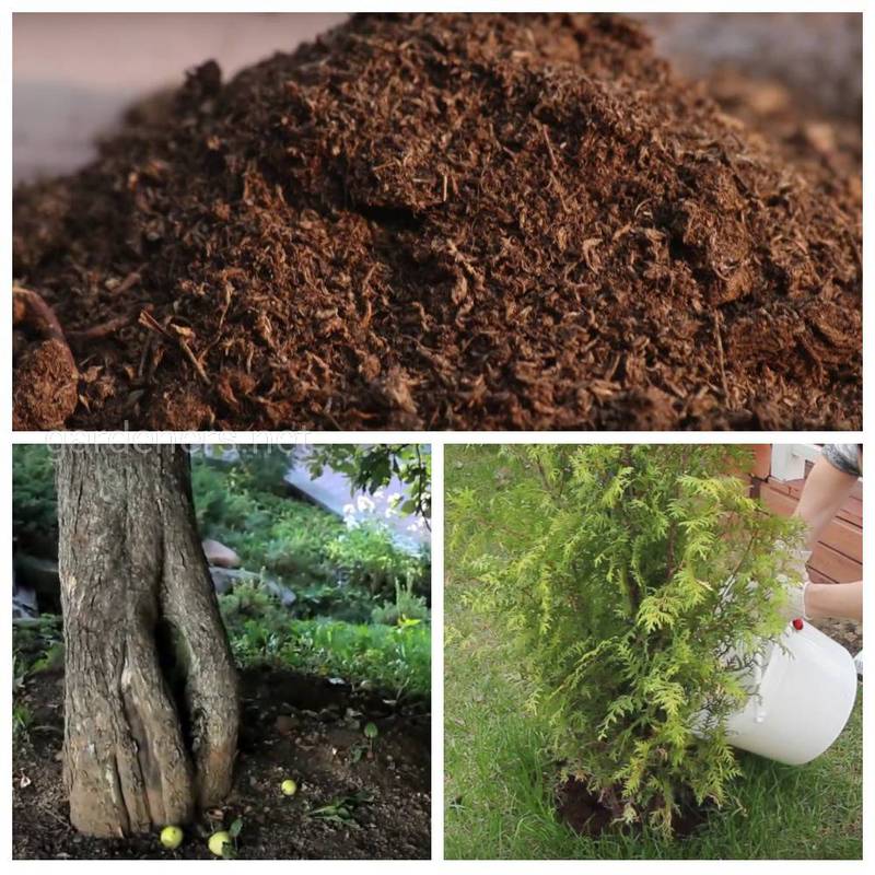 Удобрения и препараты