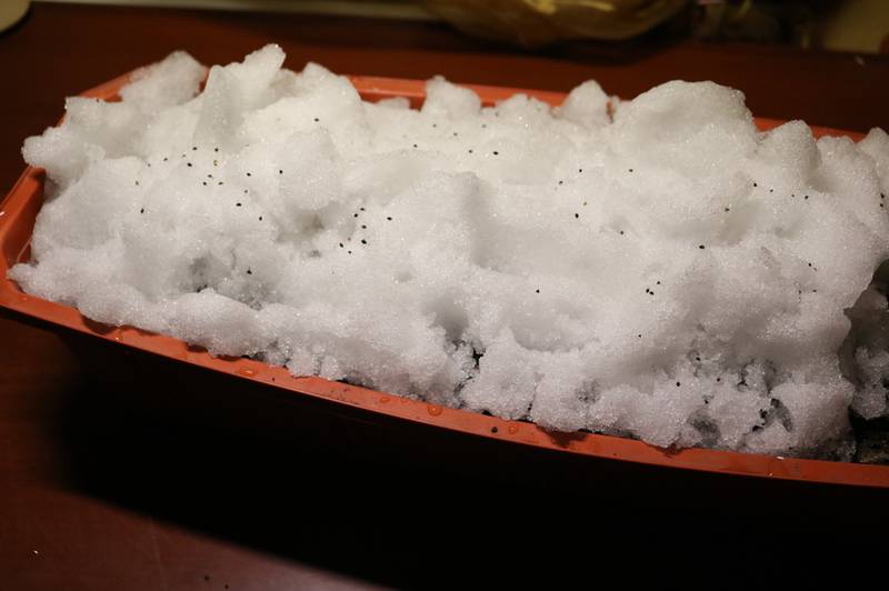 Загородная жизнь