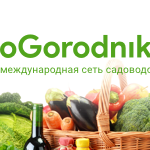   www.oGorodniki.com