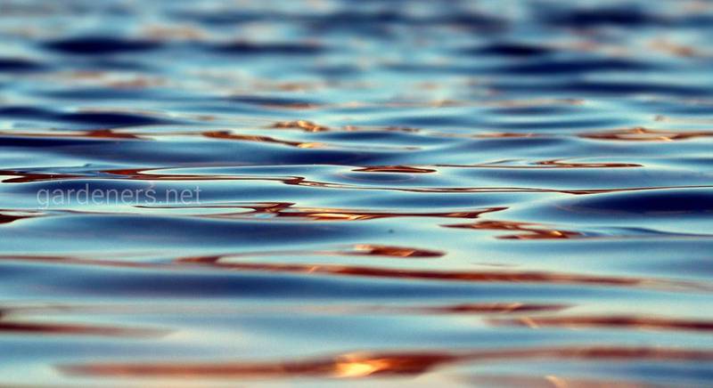 Чому вода змінює колір: причини і способи усунення