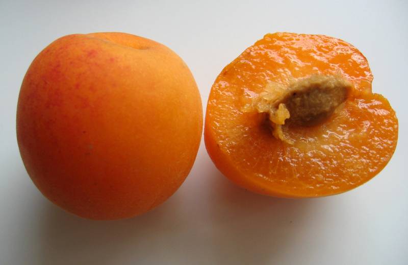 Априум - гибрид абрикоса и сливы!