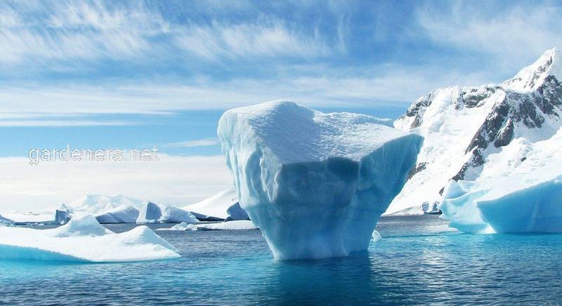 11 цікавих фактів про Антарктиду