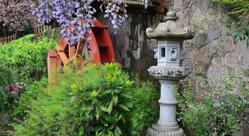 Создание японского сада на вашем участке