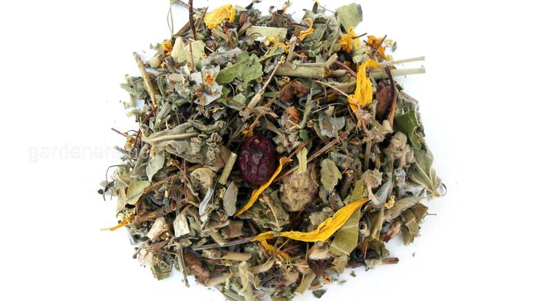 Травяной чай Бронхолегочный