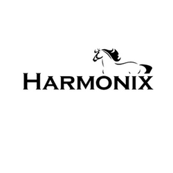 Компания "HARMONIX"