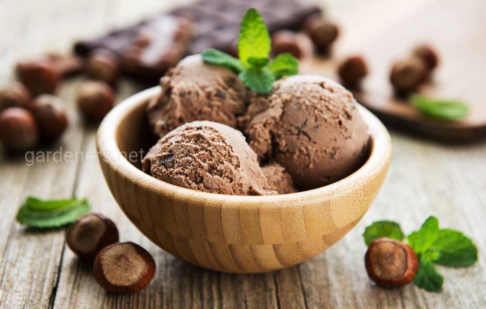 Шоколадное мороженое с орехами