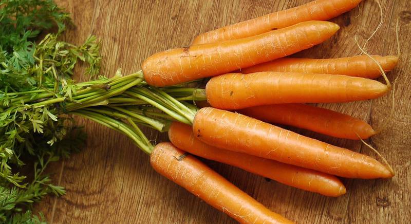ТОП 5 гибридных ранних сортов моркови (60-70 дней)