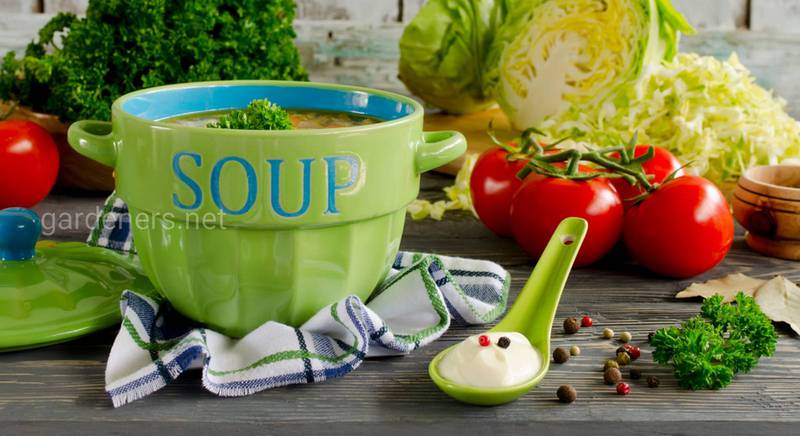 Витаминная заправка для супа своими руками