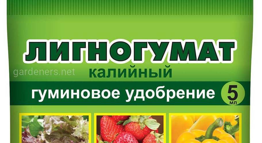 План маркет питомник растений