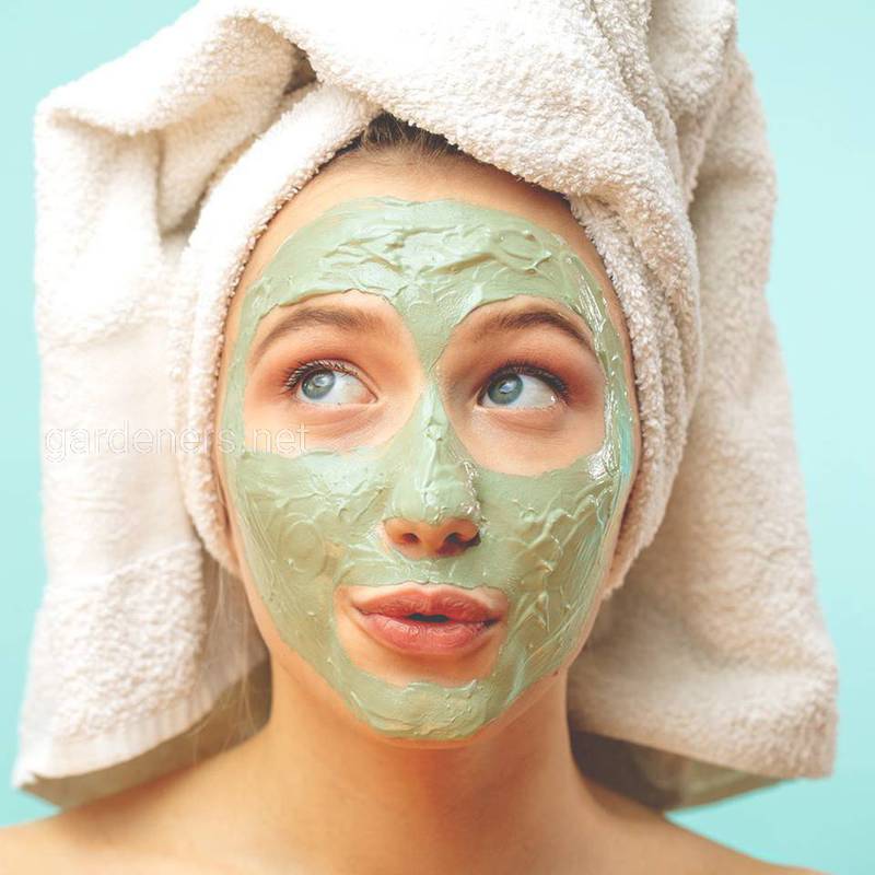 Как убрать луковый запах на коже после использования масок