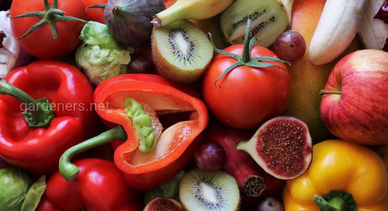 Що ми їмо? Колір їжі та її вплив на організм