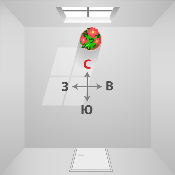 Встречи, мероприятия, фото компаний