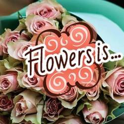 "Flowers is" - доставка цветов по Киеву