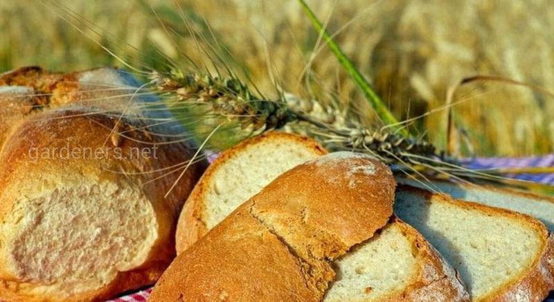 Щоб хліб зберігався довше: правила заморозки