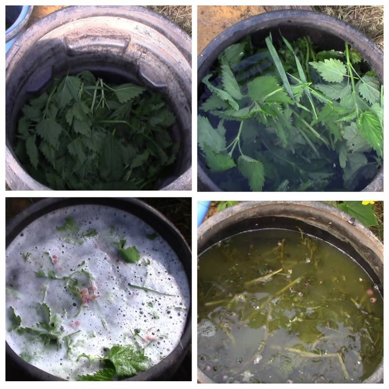 Удобрения и препараты