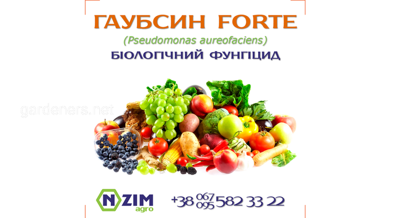 Гаубсин FORTE ENZIM Agro - Фунгицид - Обзор, цена, где купить