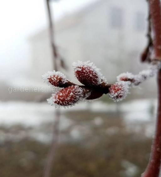 Загородная жизнь