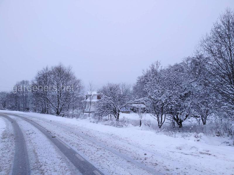 Загородная жизнь