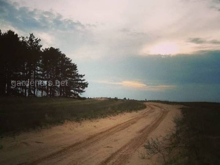 Загородная жизнь