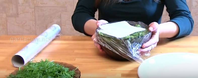 Загородная жизнь