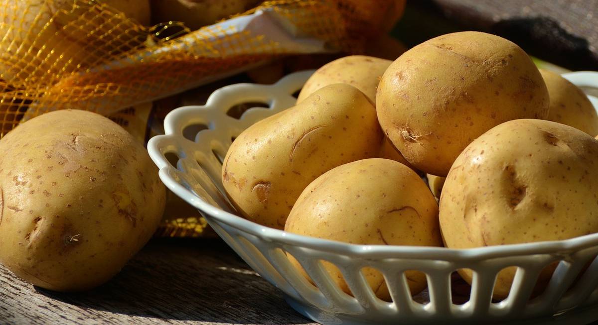 Картофельный спас. Как используют картофель. Сохранить картофель до весны. Картофельный спас 2023.
