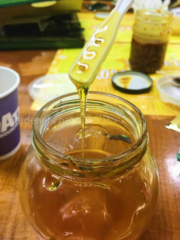 Корисний мед