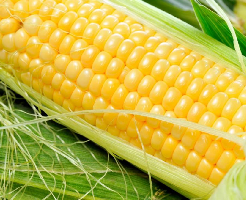 Вітамін Е в складі кукурудзяної крупи