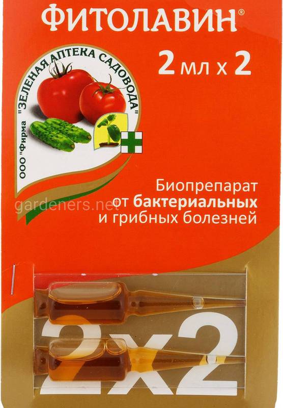 Как лечить фитофтороз томатов? Химическая защита!
