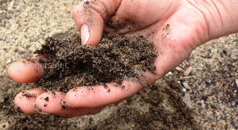 Особенности и характеристики песчаной почвы