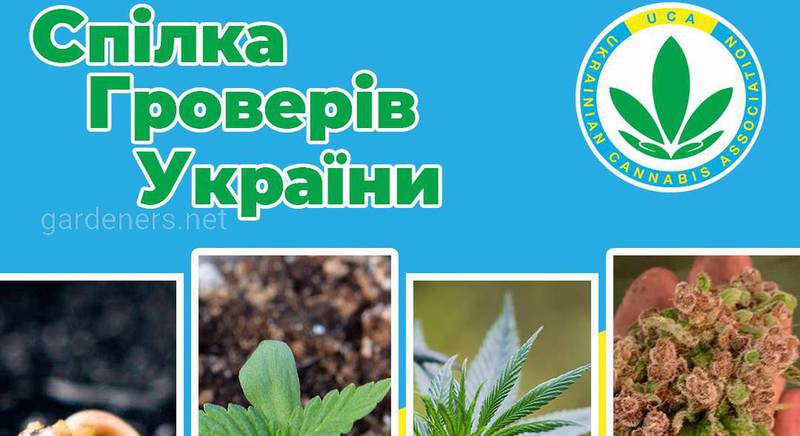 Друзі! Сьогодні, до Всесвітнього дня ґрунтів, ми створюємо в рамках Української конопляної асоціації "Спілку Гроверів України"