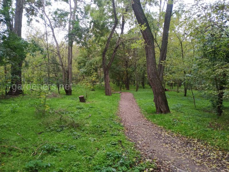 Загородная жизнь