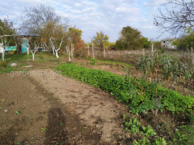 Загородная жизнь