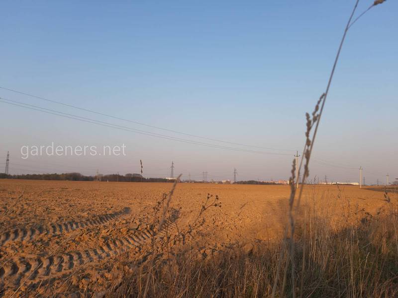 Загородная жизнь