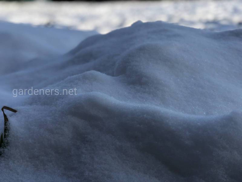 Загородная жизнь