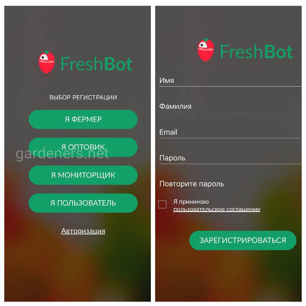 Мобильное приложение FreshBot 