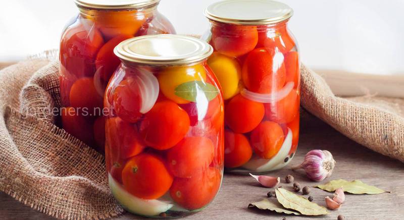 ТОП-30 лучших сортов томатов для консервации