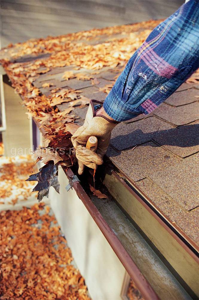 Правильный уход за крышами осенью