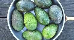 Корисні факти про авокадо