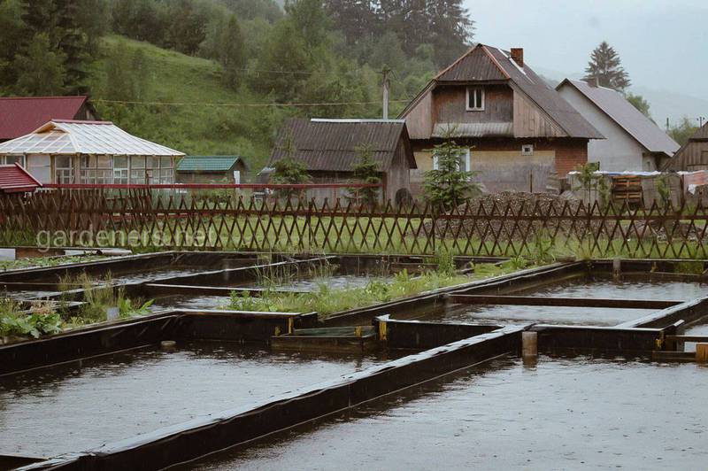 Встречи, мероприятия, фото компаний