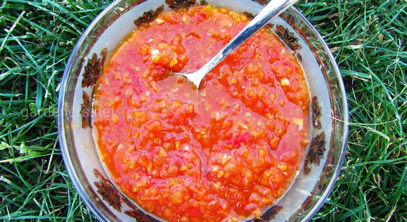 Сорта томатов для аджики. Топовая десятка самых вкусных сортов 