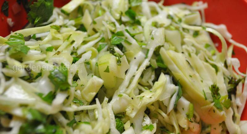 Рецепт літнього салату 