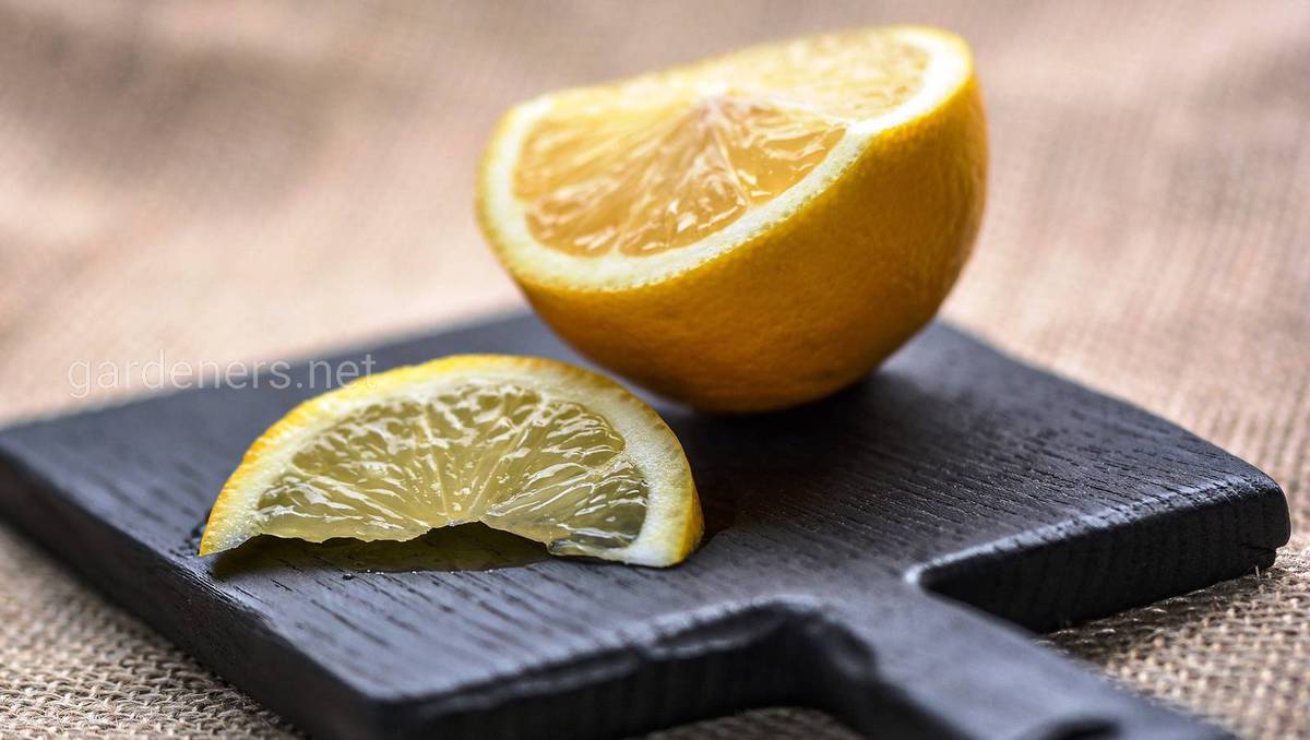 лимон от запаха рыбы