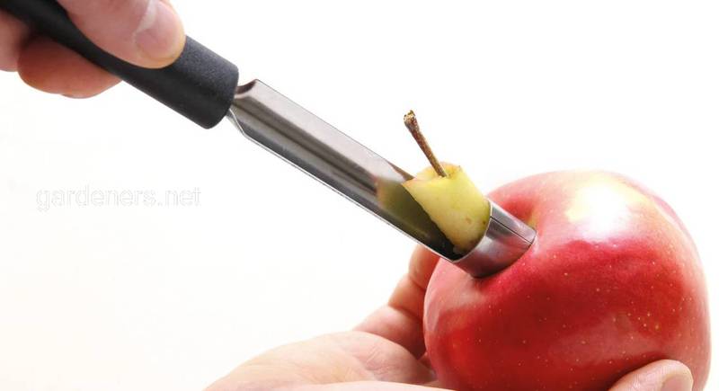 3 лучших приспособления для удаления сердцевины из яблок