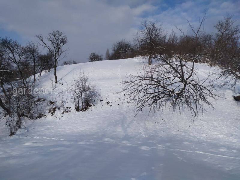 Загородная жизнь