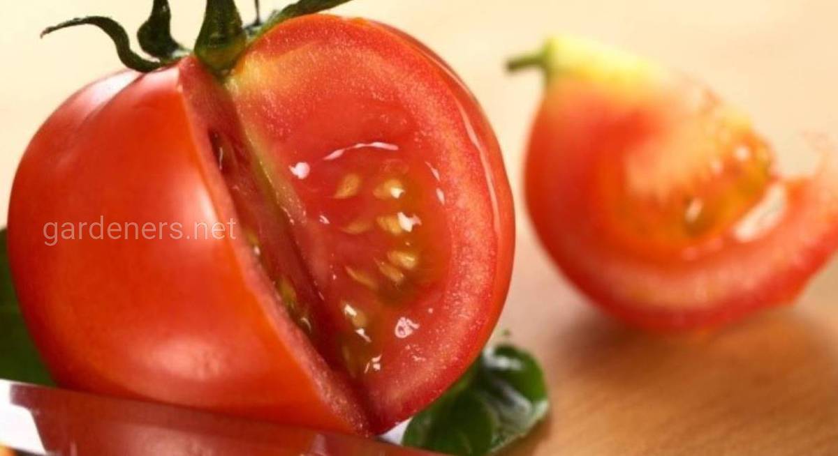 Сбор семян томатов: последовательность действий и хранение