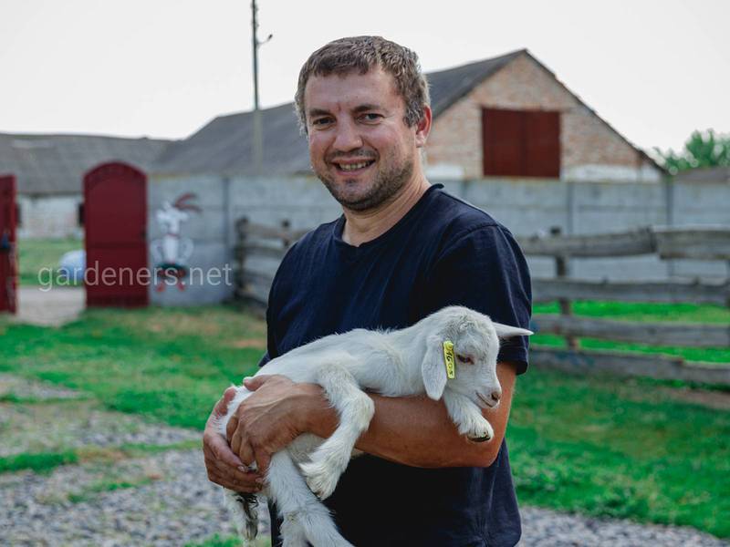 Встречи, мероприятия, фото компаний