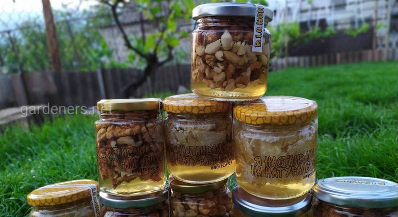 Мёд с орехами