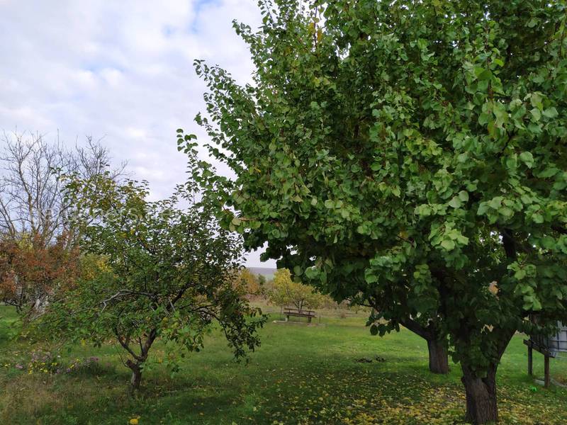 Загородная жизнь