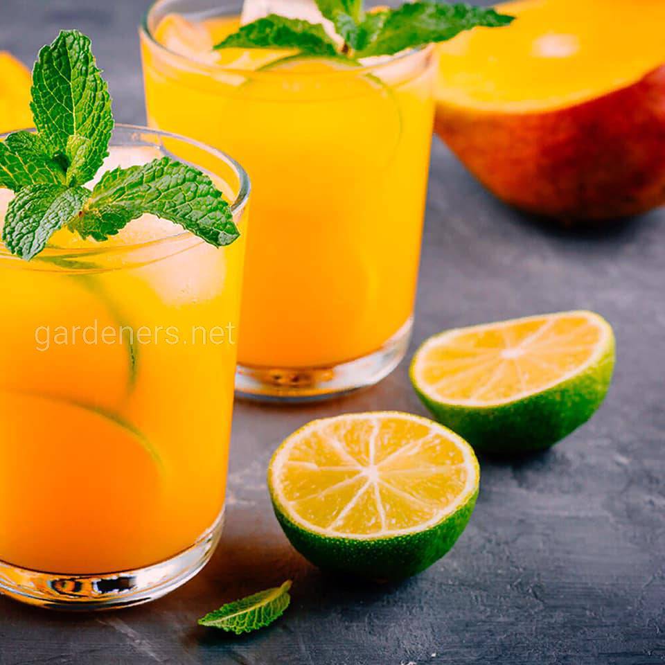 Домашнє виробництво апельсинового алкоголю